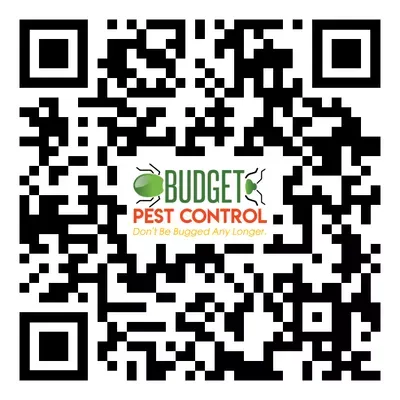 Budget Pest Control Inc