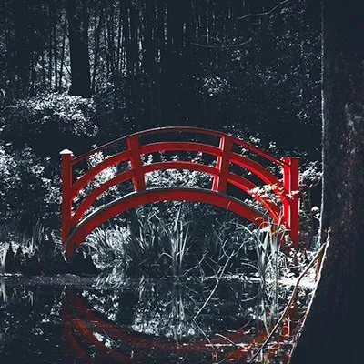 C.Tucker