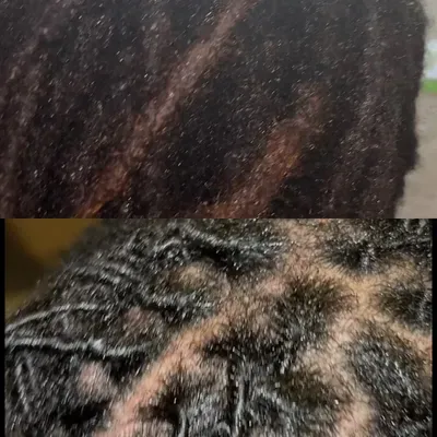 Lovely Locs & Twist