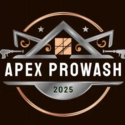 Apex ProWash