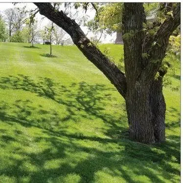 Viking Dirtworks and Landscaping LLC