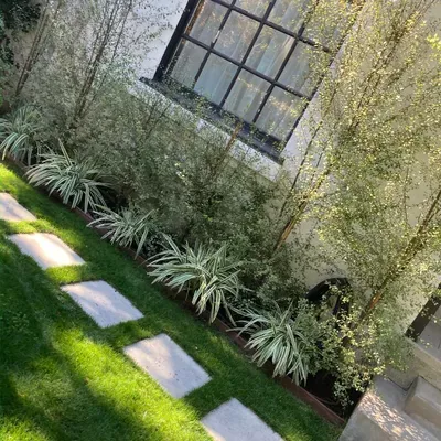 Saldana garden service