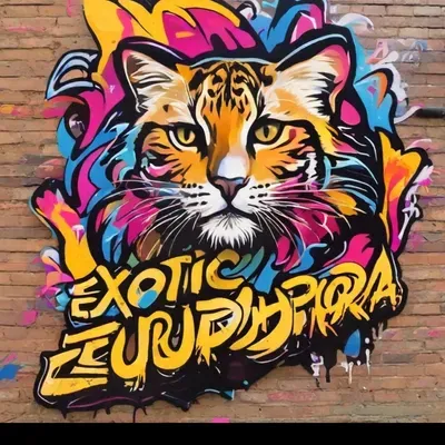 Exotic Euphoria LLC