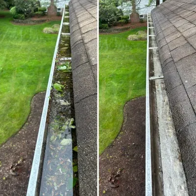 Flamingo’s pro wash and gutter cleaning service