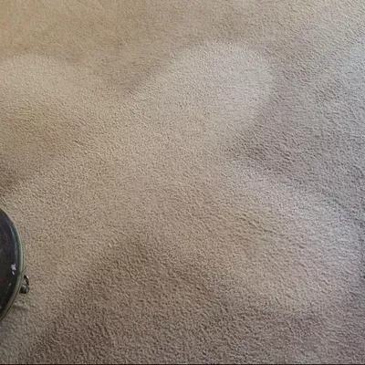 scotts steam cleaning