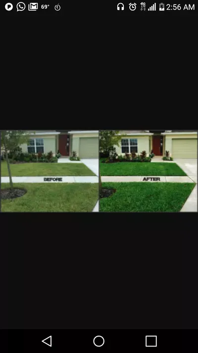 SparkLawn