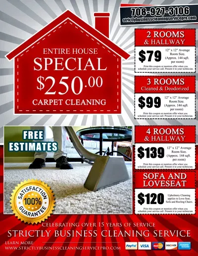 Strictly Business Cleaning Service