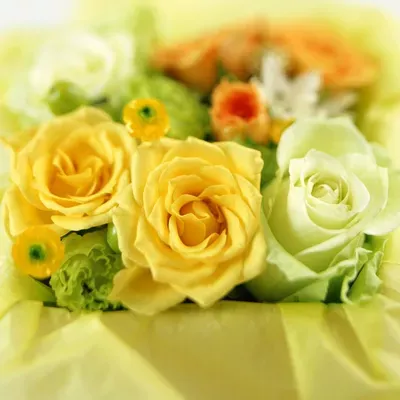 Nuptials by Quila