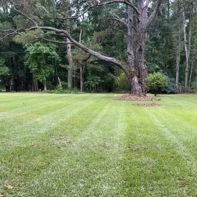 Tree City Landscape LLC