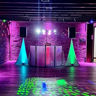 Zebra Frequencies DJs