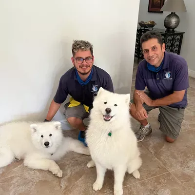 The Lion Carpet, Tile, and Upholstery Cleaning