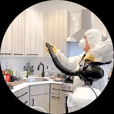 handyman/all cleaner services