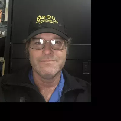 Acacia pest control / Re-Home Bees