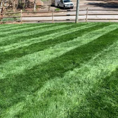 Top Notch Lawn Care