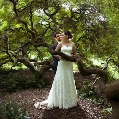 Joie Elie Photography & Cinematography