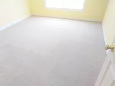 S and L Cleaning Services Inc.