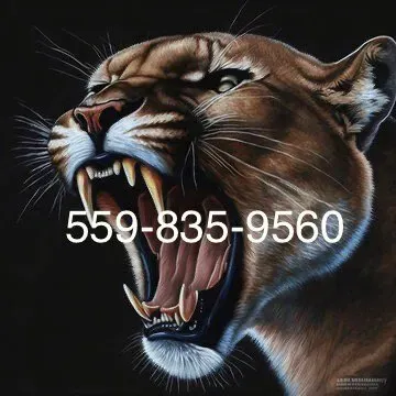 Cougars Concrete & Cement Concepts