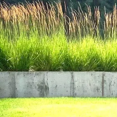 ROARING FORK HARDSCAPES