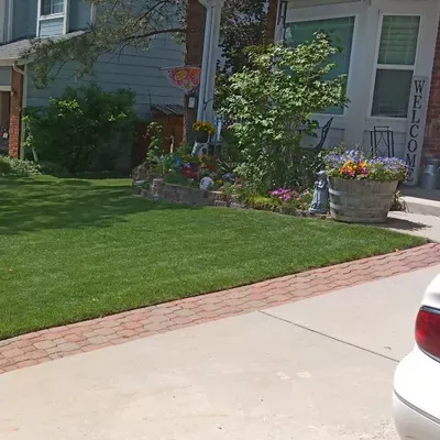 Moore Mature Lawn Care