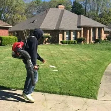 Green Garden Lawn Care