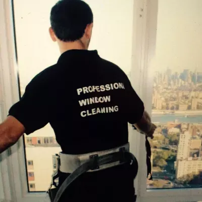 Moisha window cleaning