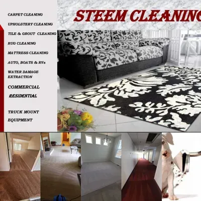 Steem Cleaning Carpet Cleaning
