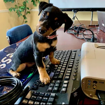 SOS Computer and Networks