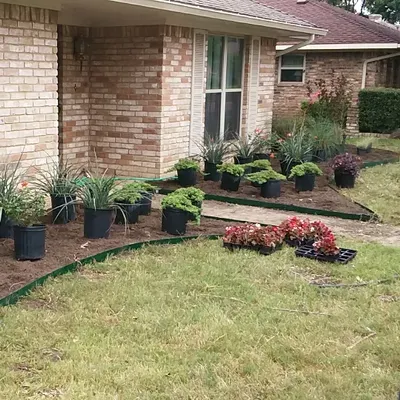Pro Landscaping