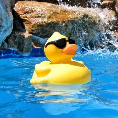 Catalina Pool Repair