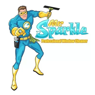 Mr. Sparkle Window Cleaners