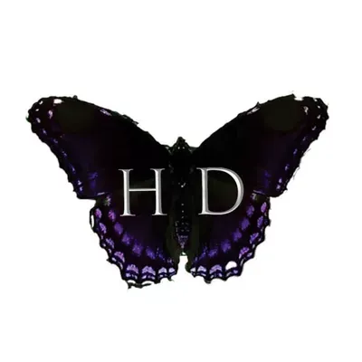Hair Dressed Salon LLC