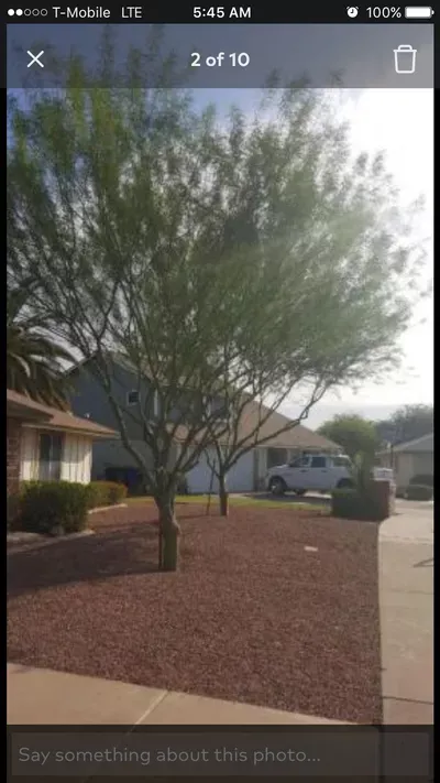 AR Lawn Services