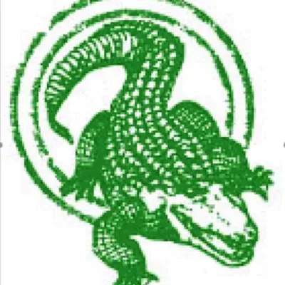 Crocodile Window Cleaning & Pressure Washing