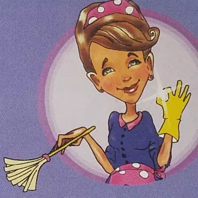 Allison Home And Window Cleaning LLC