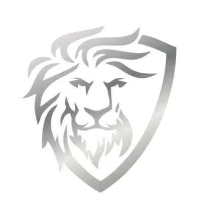 The Mounting Lions Inc