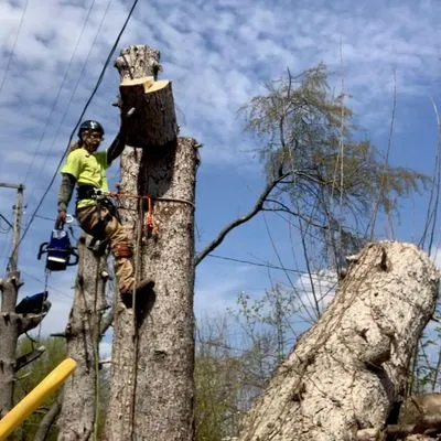 Trevor’s landscaping&Tree service