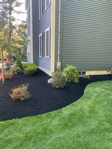 Parada Landscaping
