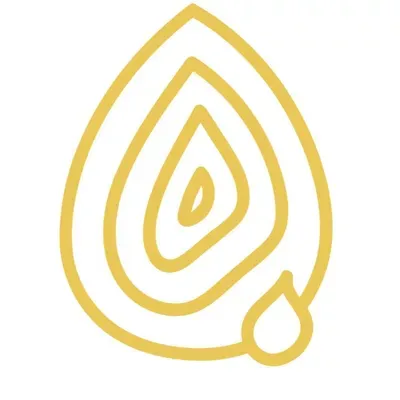 Venezia Luxury Services LLC