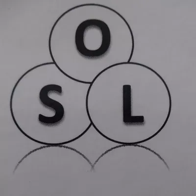 S.O.L. Management Services, LLC