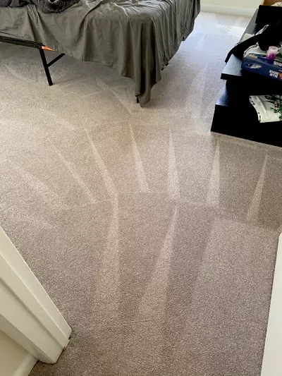 Pellegrino carpet cleaning