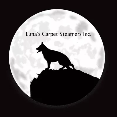 LUNA  CARPET STEAMERS