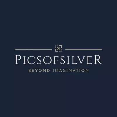 PICSOFSILVER LLC