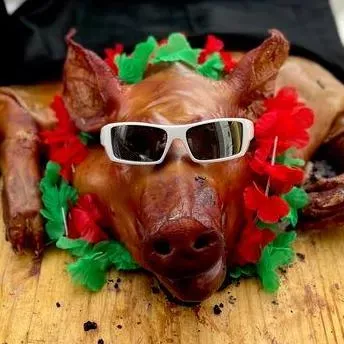 Texas Pig Roaster