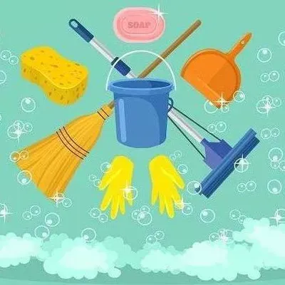 Fernanda cleaning services