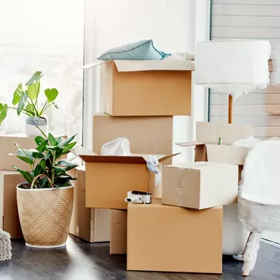 MadeSimple Organizing