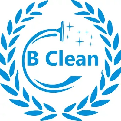 B Clean Professionals