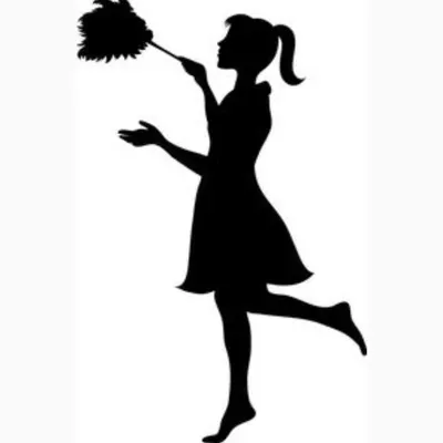Dust to Shine Cleaning