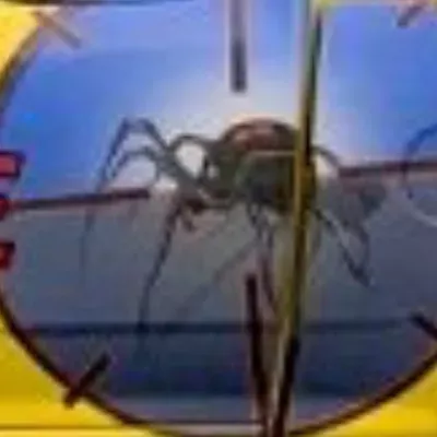 Crossfire Pest & Termite