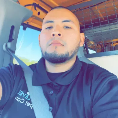 Next Level Carpet Care L.L.C.