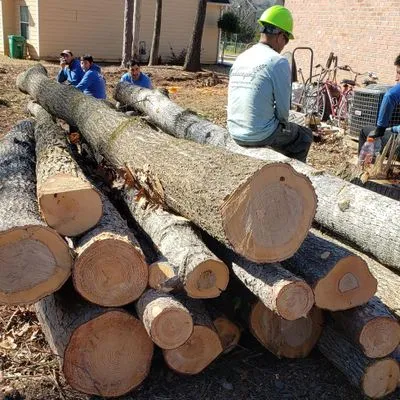 Premier Grading & Tree removal